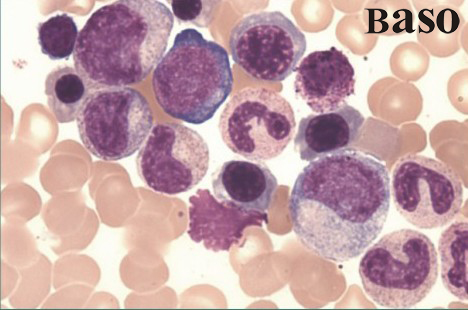 ������ȾɫҺ