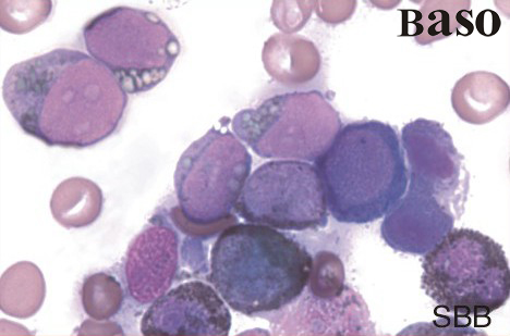 �K����BȾɫҺ��SBB��