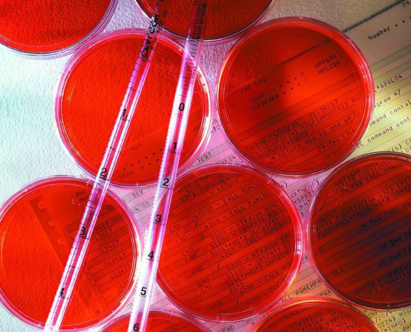 ΢����ȾɫҺ