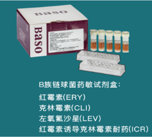 B������ˎ��ԇ����